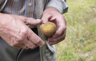 Nachhaltige Landwirtschaft, 
